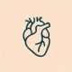 Icono Pulmones